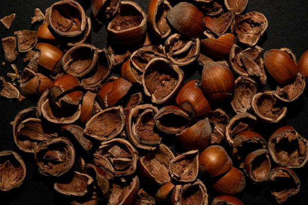 Broken hazelnut shells and cacao-style brown textures representing raw ingredient processing, quality inspection, and premium food manufacturing supply chains