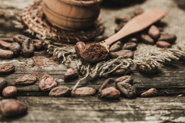 Cacao powder on a wooden spoon with cacao beans on a rustic surface, representing cacao processing and raw cacao sourcing