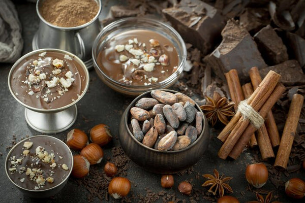 Wholesale cacao beans with cacao powder, dark chocolate, cinnamon, star anise, and hazelnuts — Global Cacao Traders Online