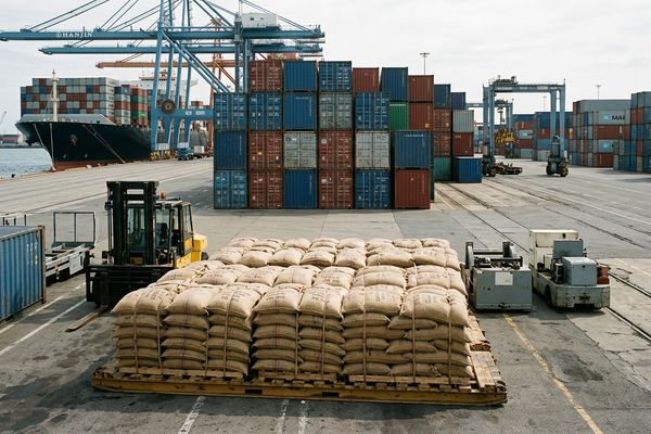 How Global Cacao Supply Chains Influence Manufacturing Performance