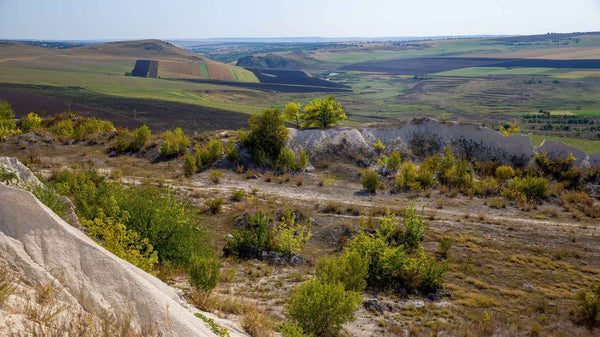 Junin / Satipo Region